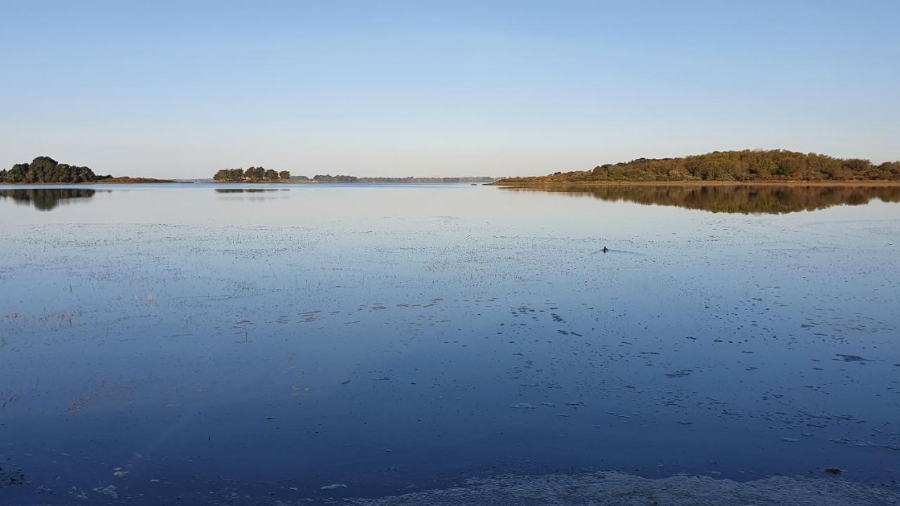 Maison Golfe Du Morbihan - Vue Mer - Plage A 600M - 6 Chambres Сене Экстерьер фото