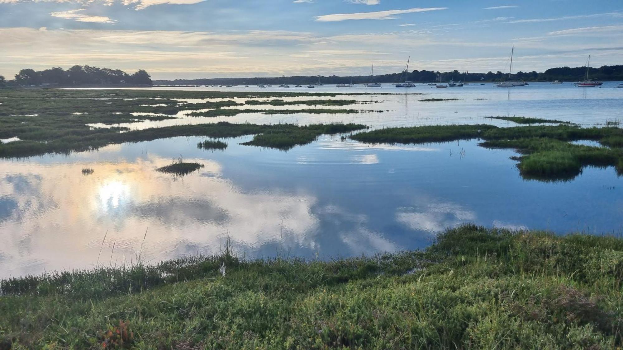Maison Golfe Du Morbihan - Vue Mer - Plage A 600M - 6 Chambres Сене Экстерьер фото