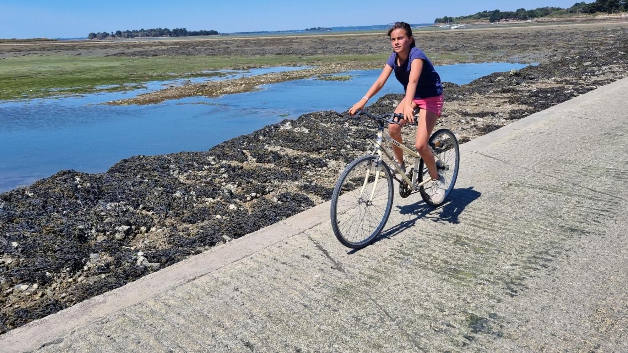 Maison Golfe Du Morbihan - Vue Mer - Plage A 600M - 6 Chambres Сене Экстерьер фото